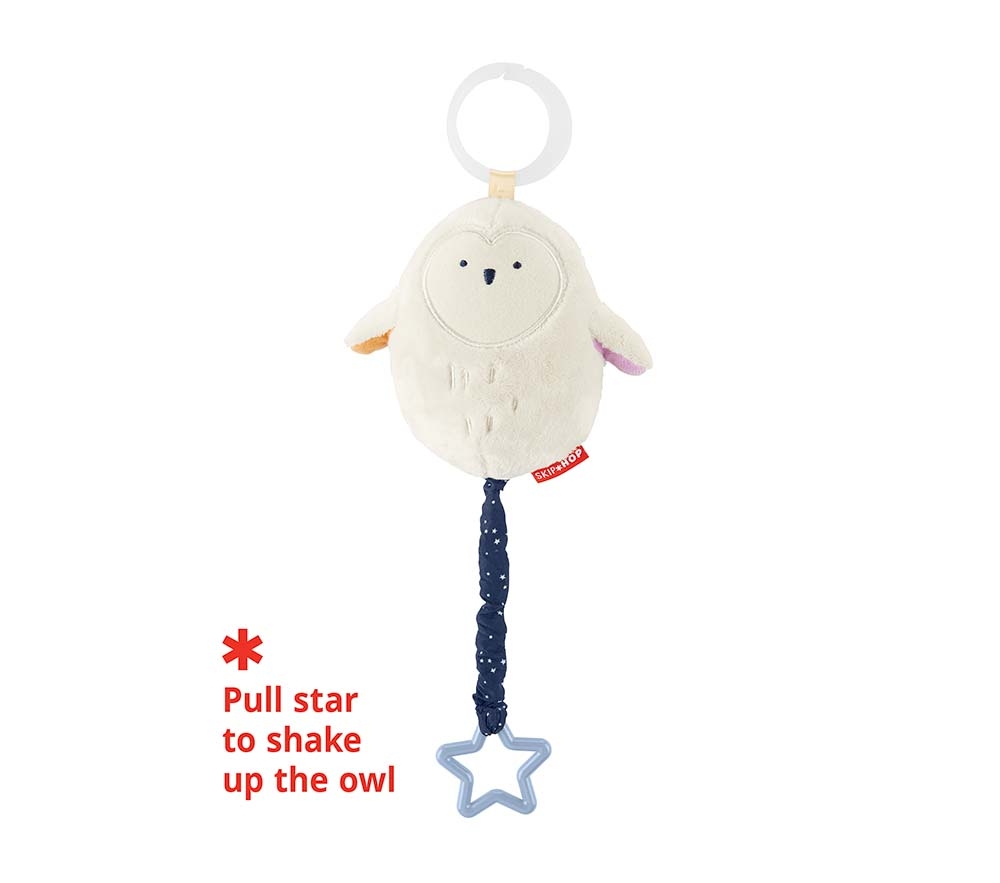 Skip hop deals owl push toy