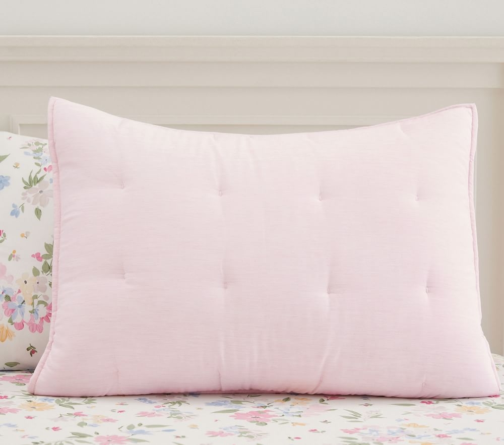 Light pink shop pillow shams