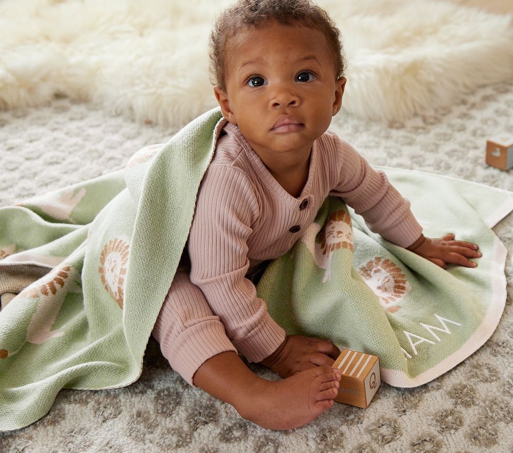 Shop Lion Intarsia Baby Blanket online Pottery Barn Kids UAE