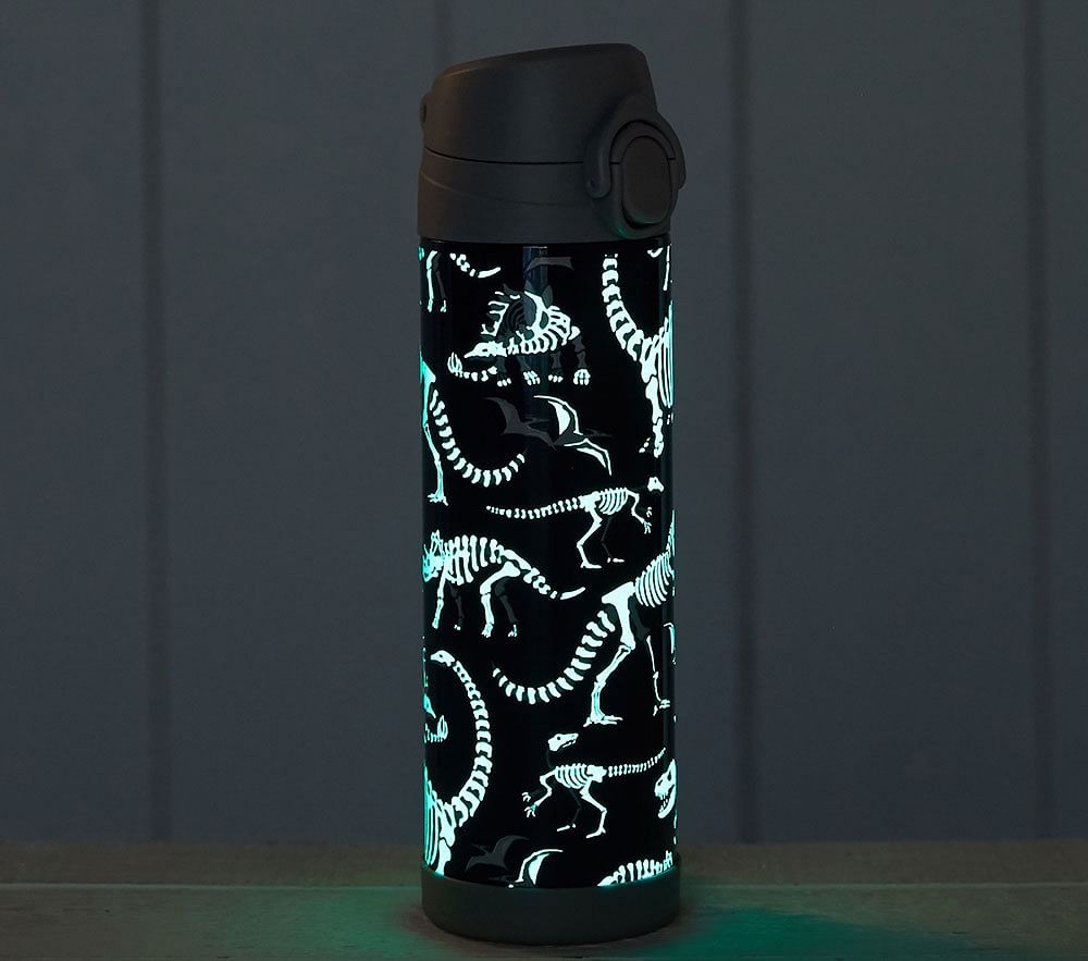 Mackenzie insulated large water bottles top