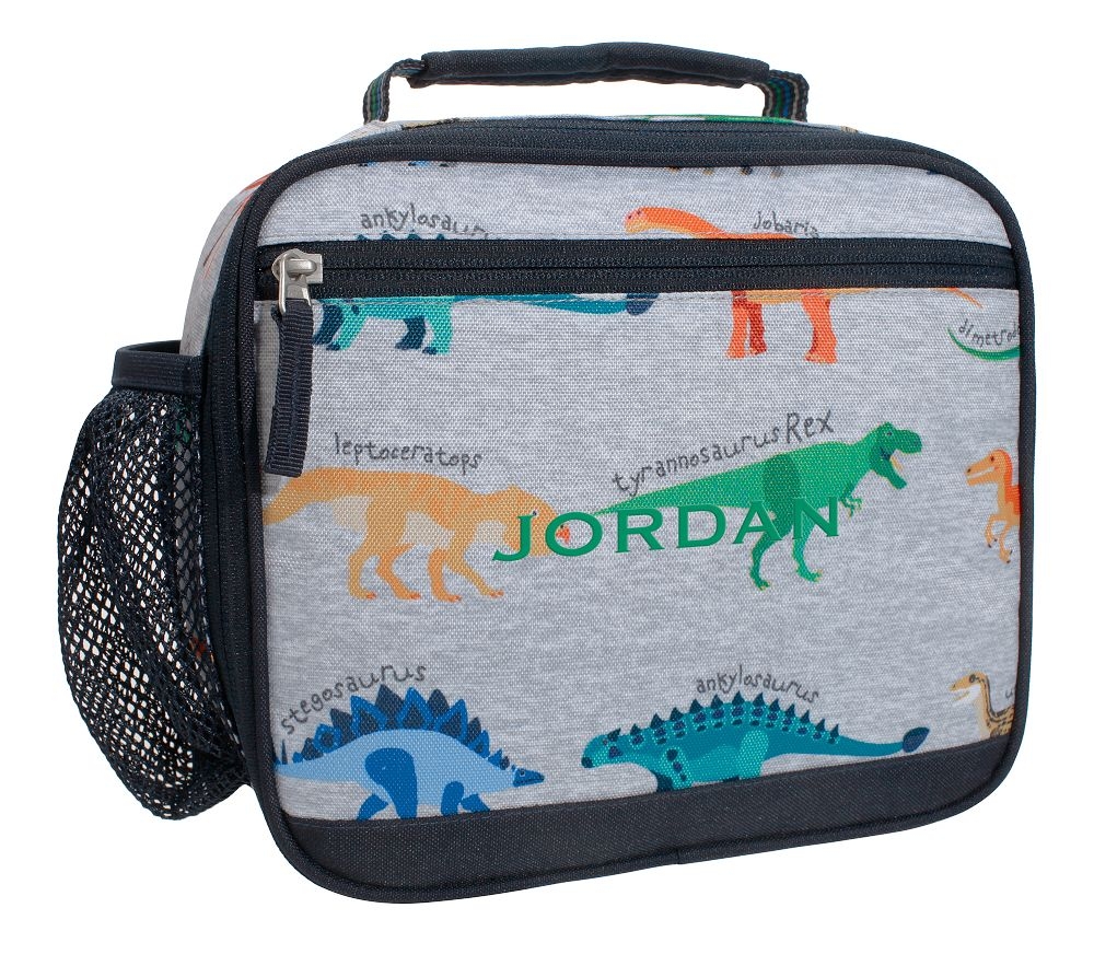 Dinosaur lunch boxes hotsell