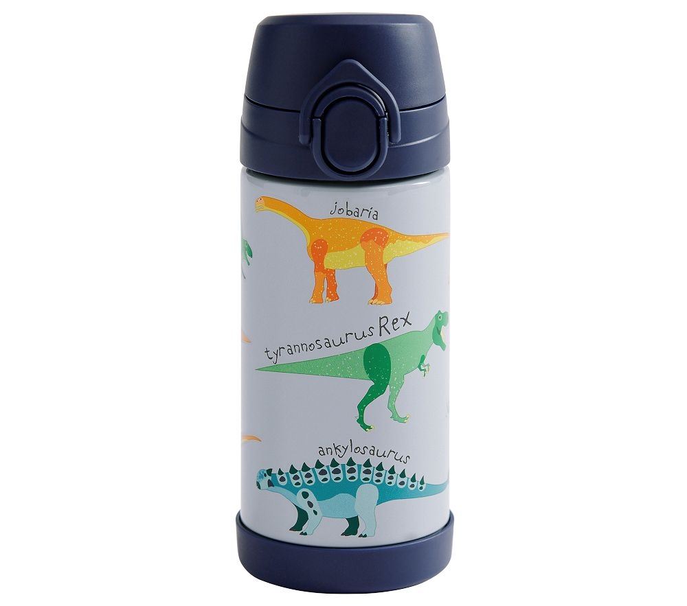 Kids dinosaur water bottle hotsell