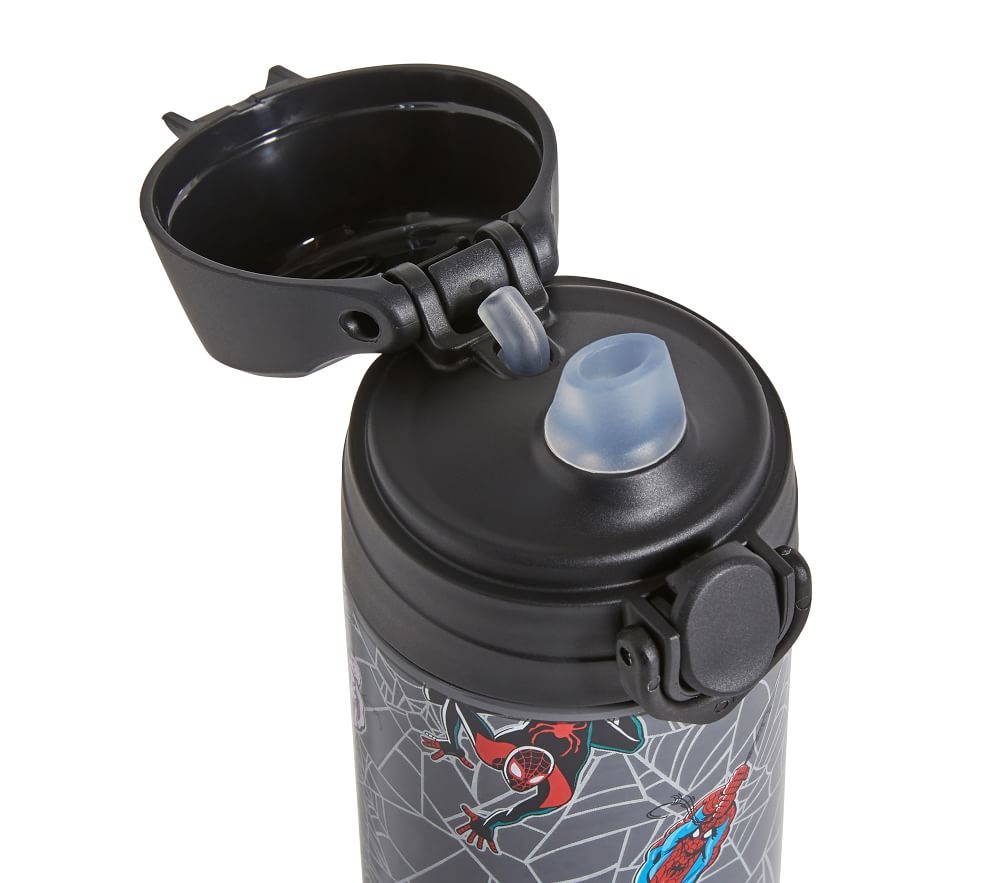 Mackenzie insulated 2025 large water bottles