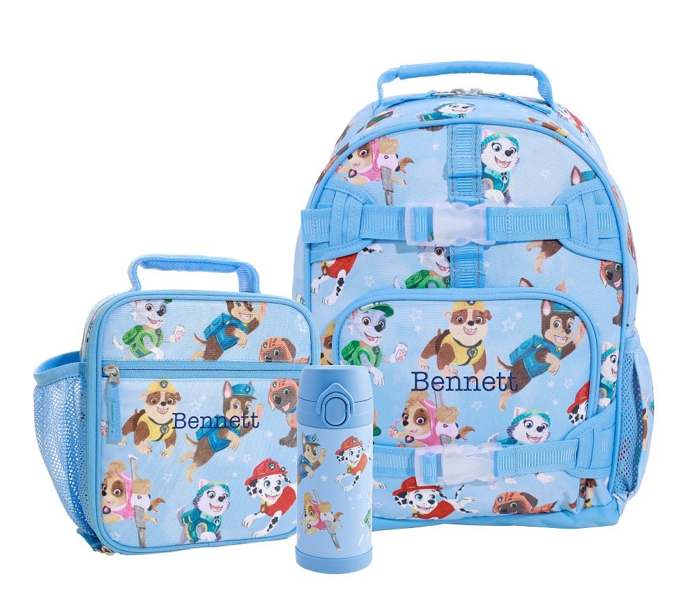 Paw patrol backpack best sale with lunch box
