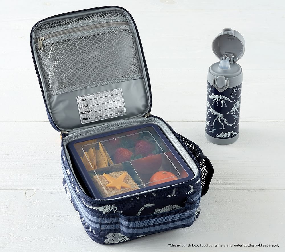 Ice pack for pottery barn clearance lunch box