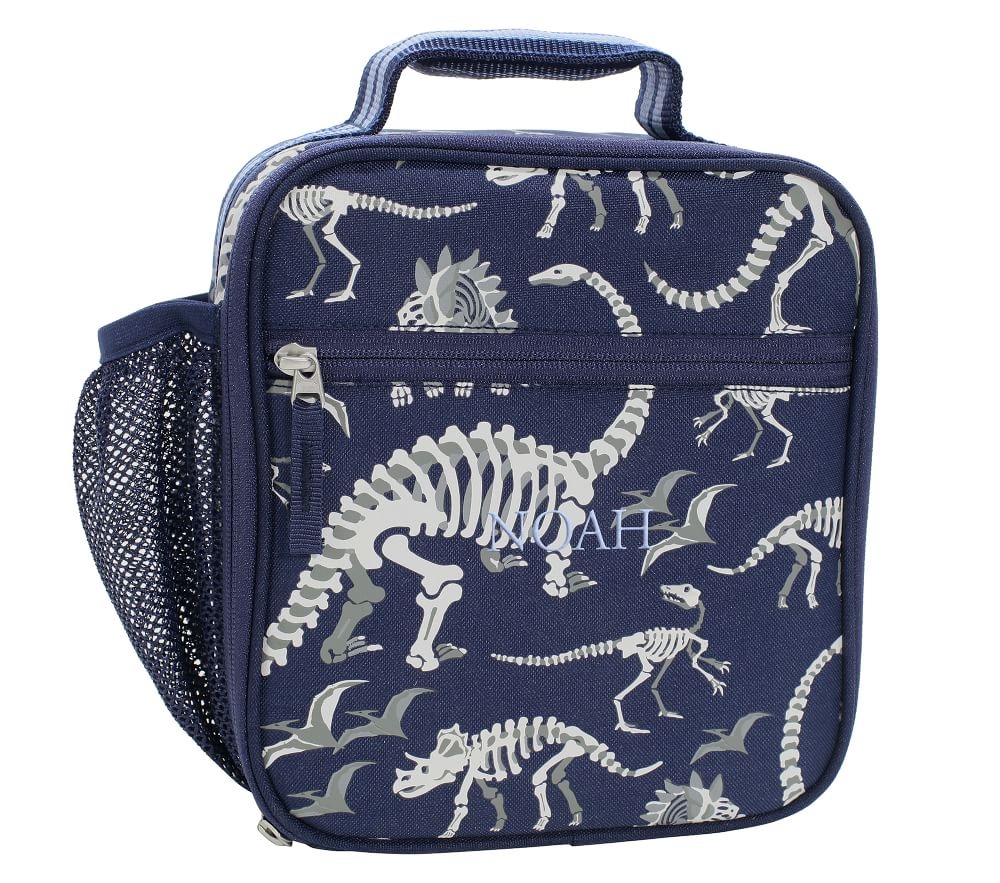 Dinosaur hot sale lunch boxes