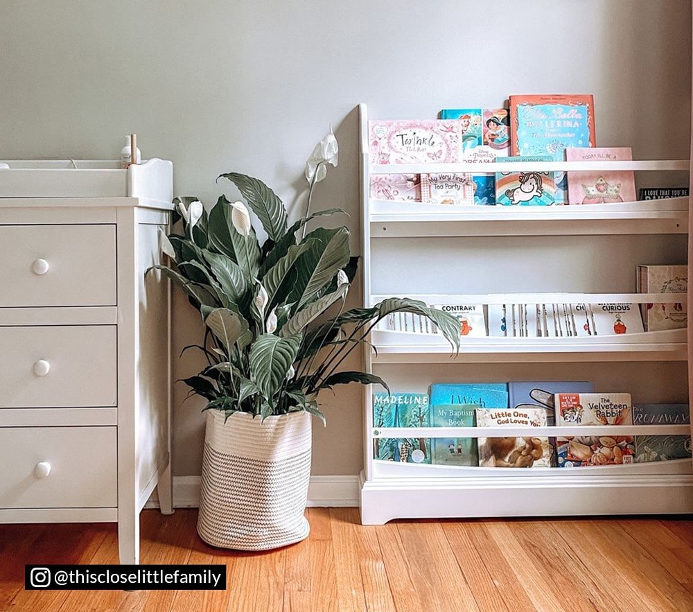 Pottery barn shop madison bookshelf