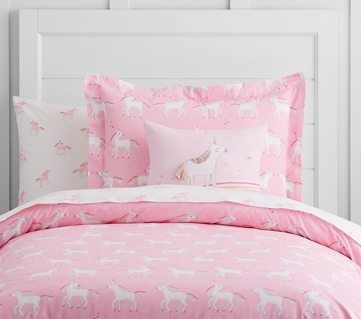 Pottery barn pink pillow 2025