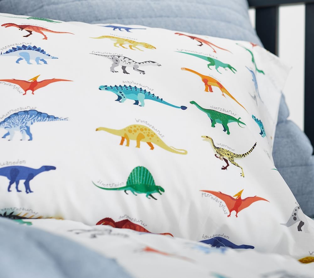 Organic shop dinosaur sheets
