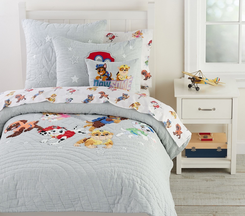 Pottery barn discount kids pillow