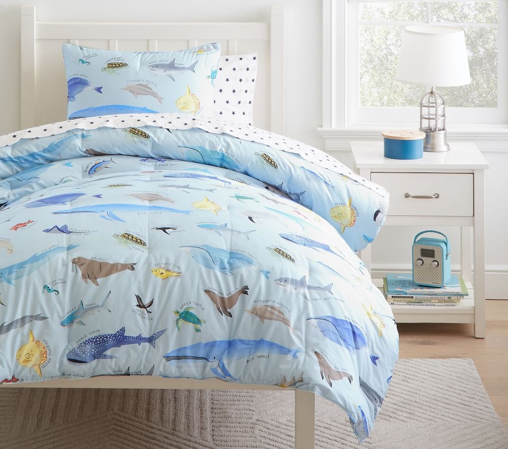Comforter and shams 2025